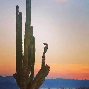 Meet your Posher, Adele